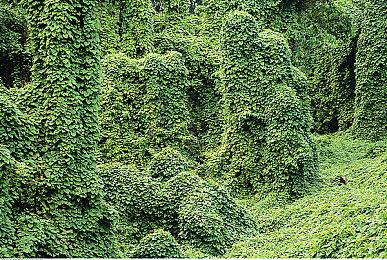 Steam特别好评 《要塞：决定版》销量突破50万